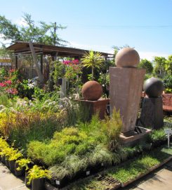 Hart Nursery