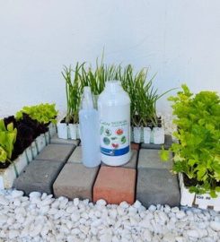 Garden Mecca