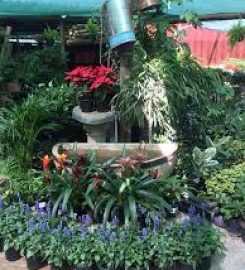 Garden Mecca