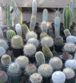 Hart Nursery