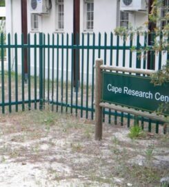 ALCAPE FENCING CC