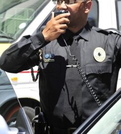 Total Electronic Security Systems (Pty) Ltd