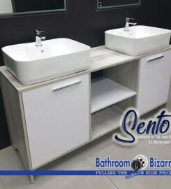 Bathroom Bizarre