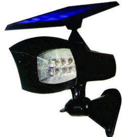 Future Light