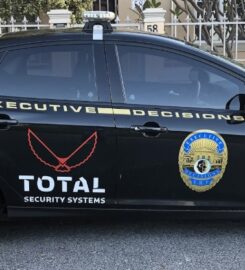 Total Electronic Security Systems (Pty) Ltd
