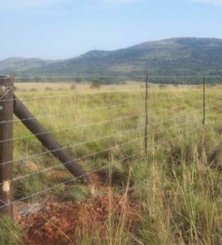 Chemvet Steel & Fencing