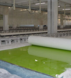 Cape Composite (Pty) Ltd