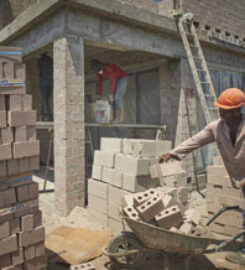 Cape Brick