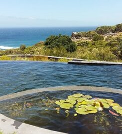 wetlandPOOLS