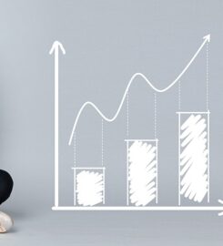 Lajocar Website Solutions